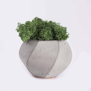 Home Piorro Quisquam